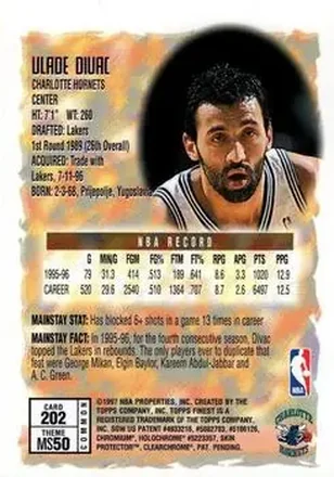 Retro di Vlade Divac