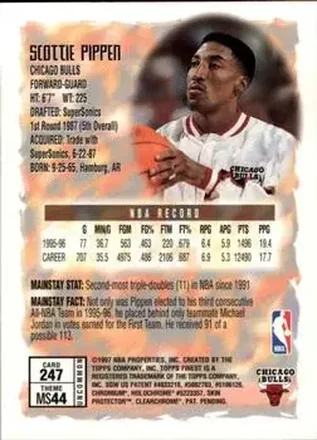 Scottie Pippen Rückseite