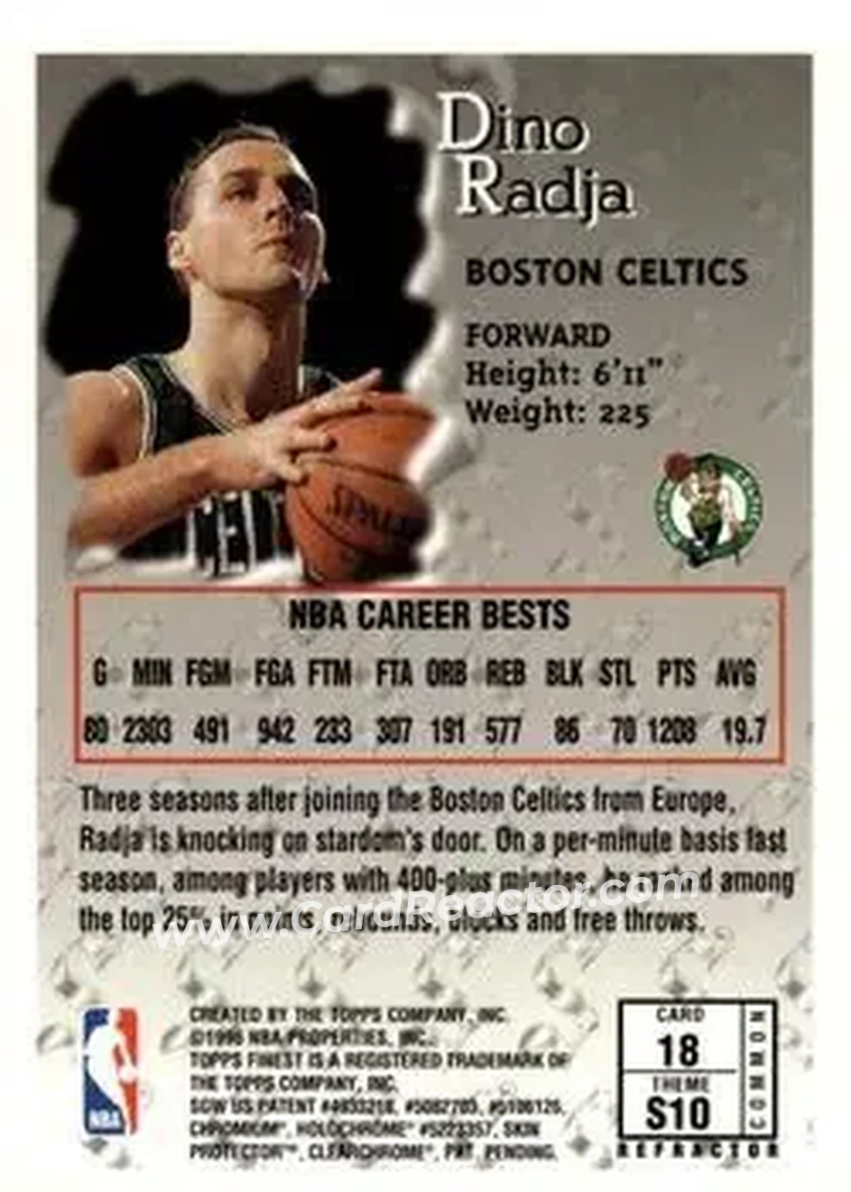 Back of Dino Radja