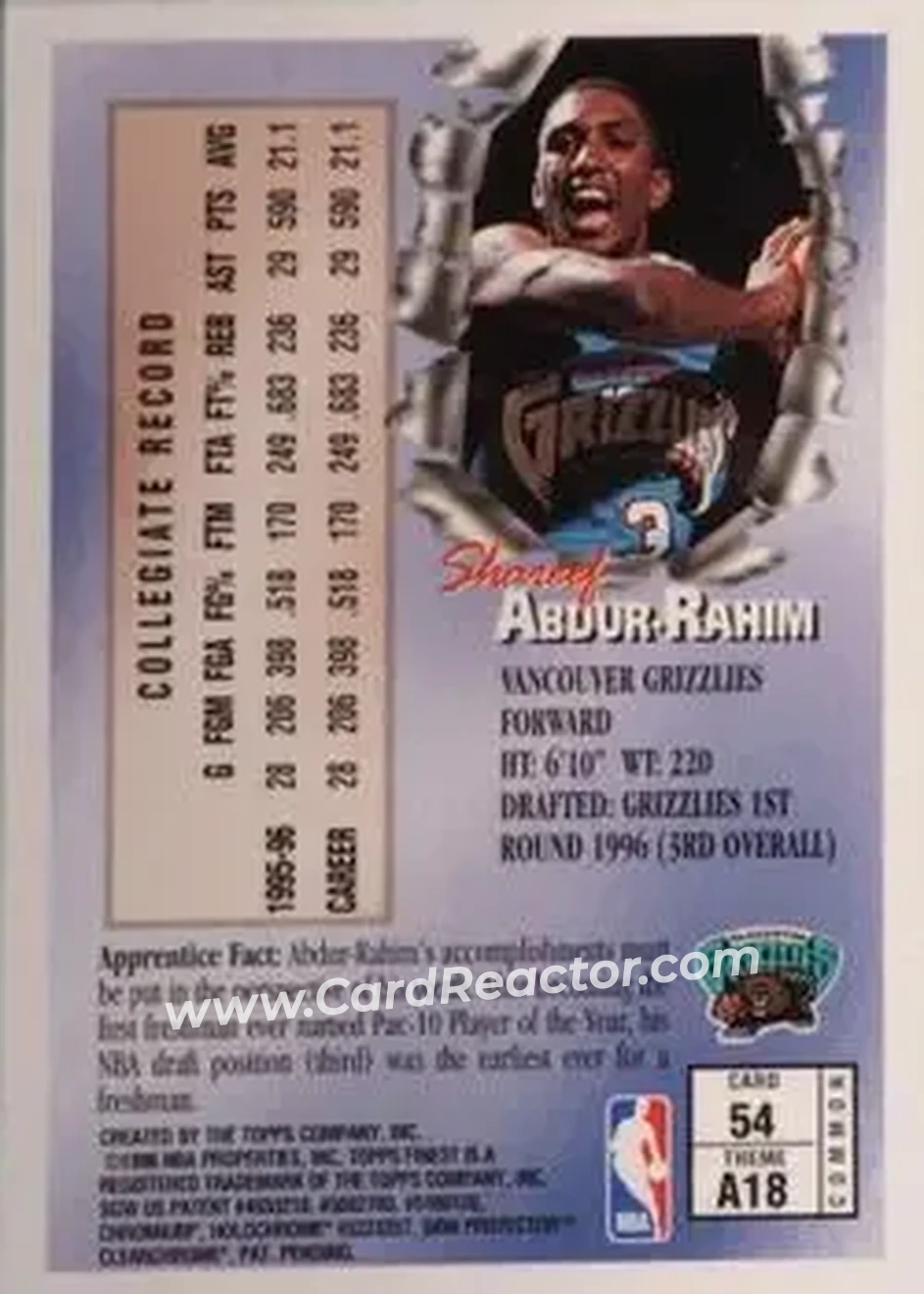 Back of Shareef Abdur-Rahim
