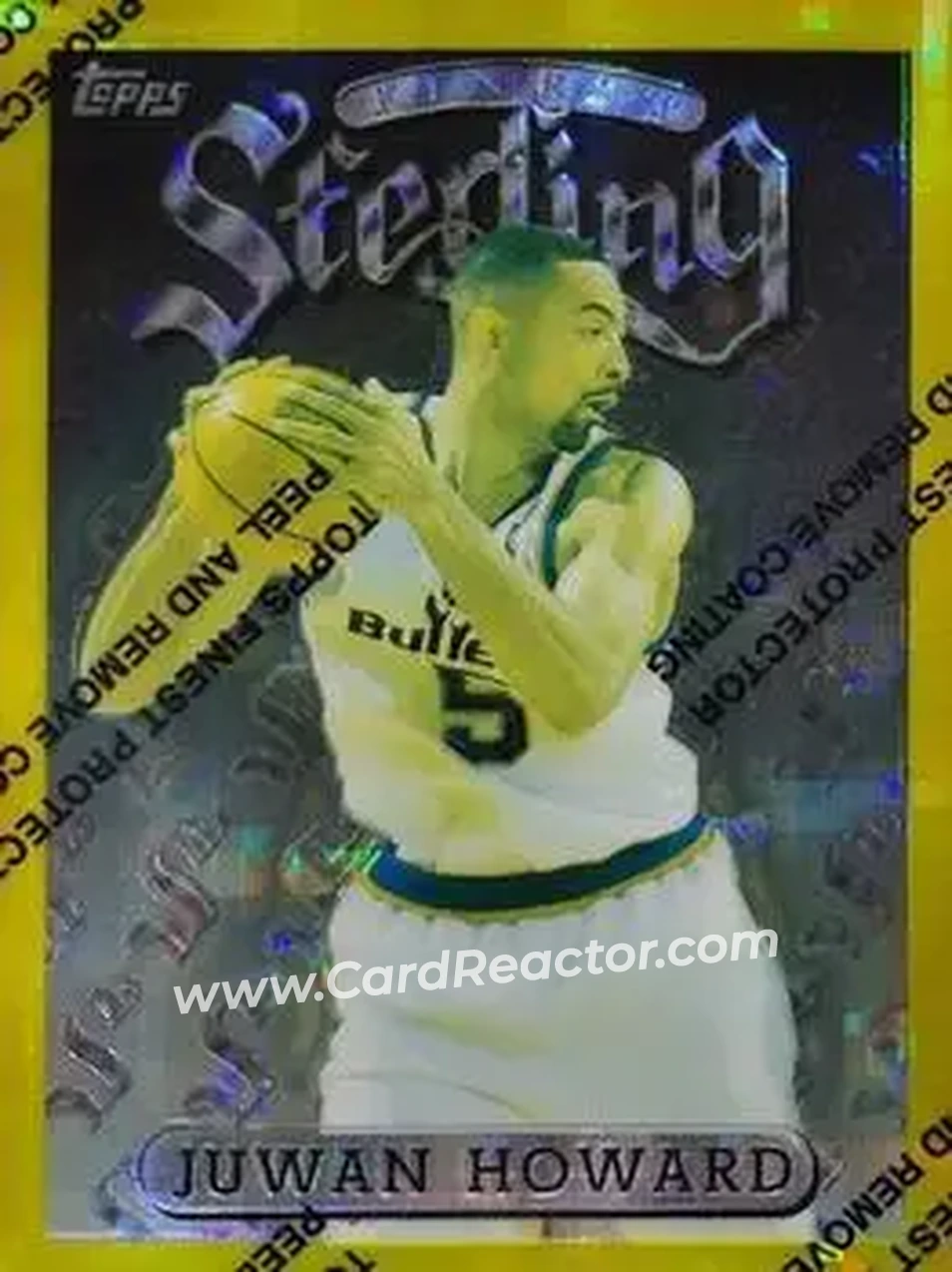 Front of Juwan Howard