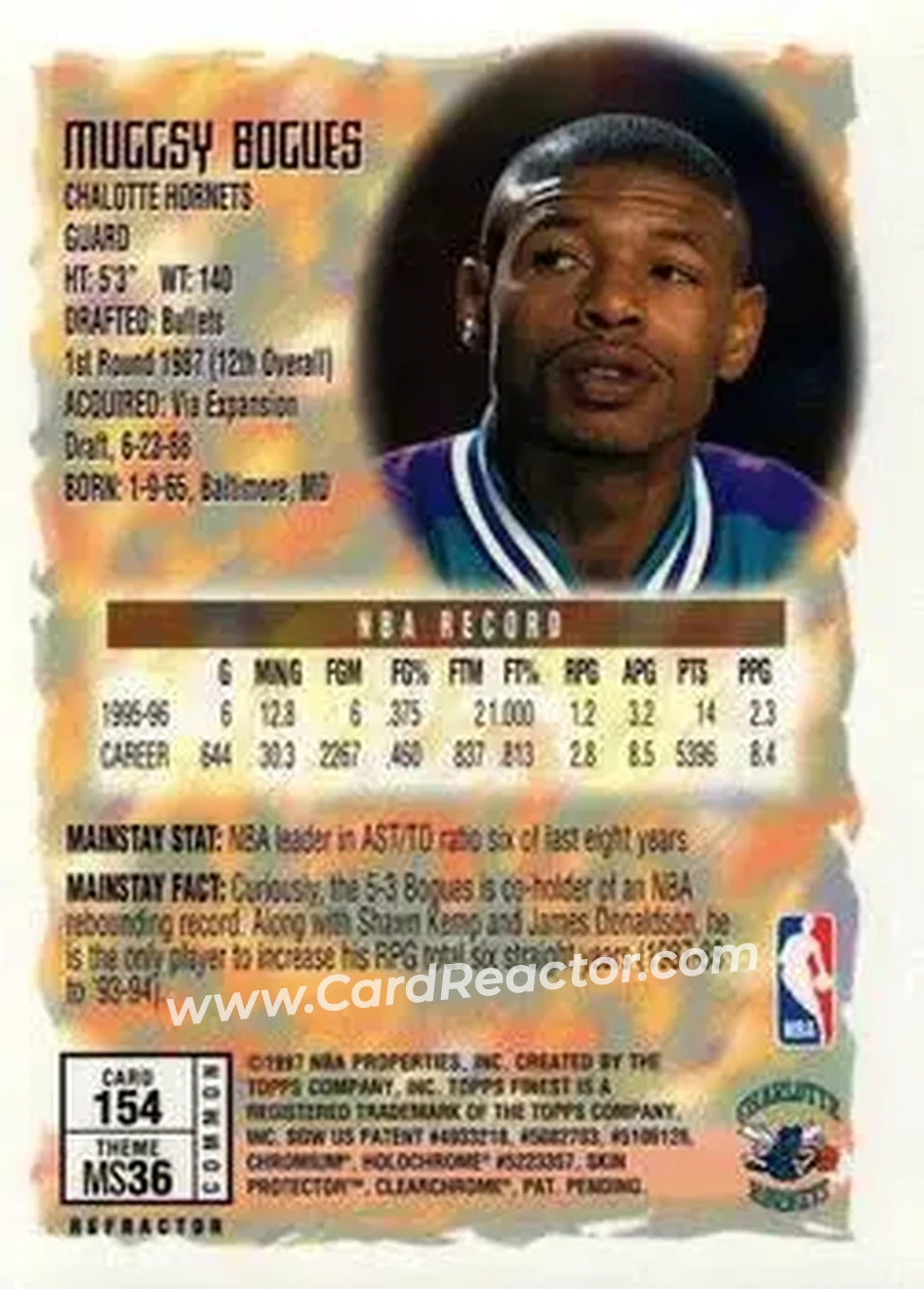 Back of Muggsy Bogues