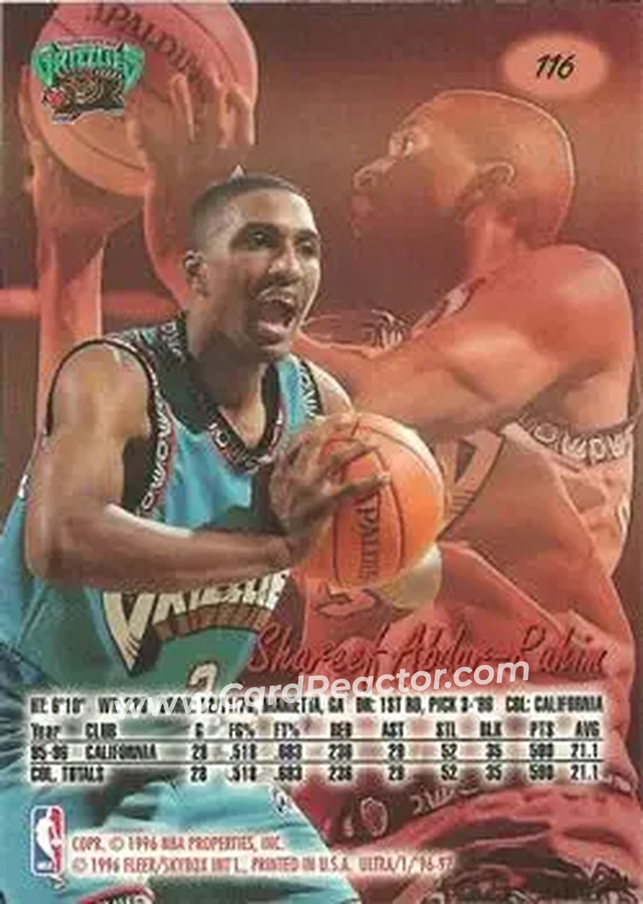 Back of Shareef Abdur-Rahim