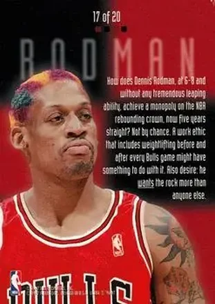 Dennis Rodman back