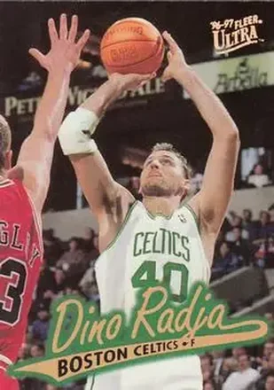 Dino Radja
