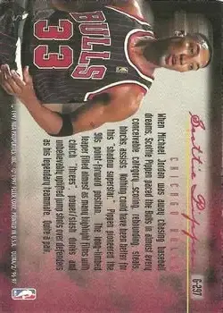 Back of Scottie Pippen