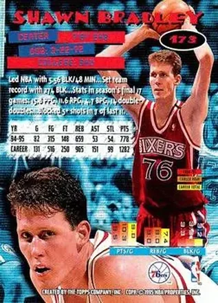 Shawn Bradley back