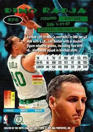 Dino Radja back