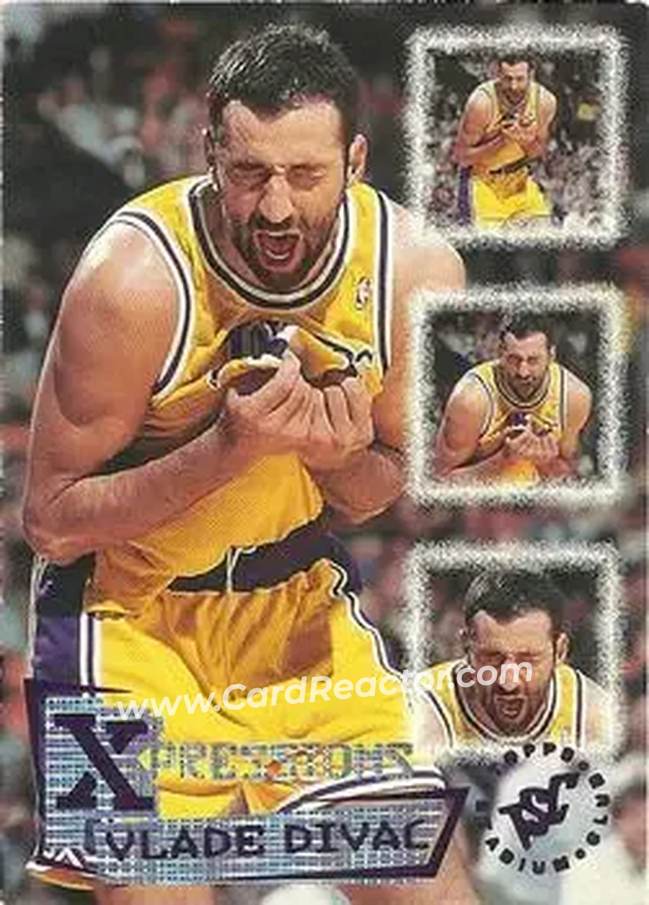 Vlade Divac