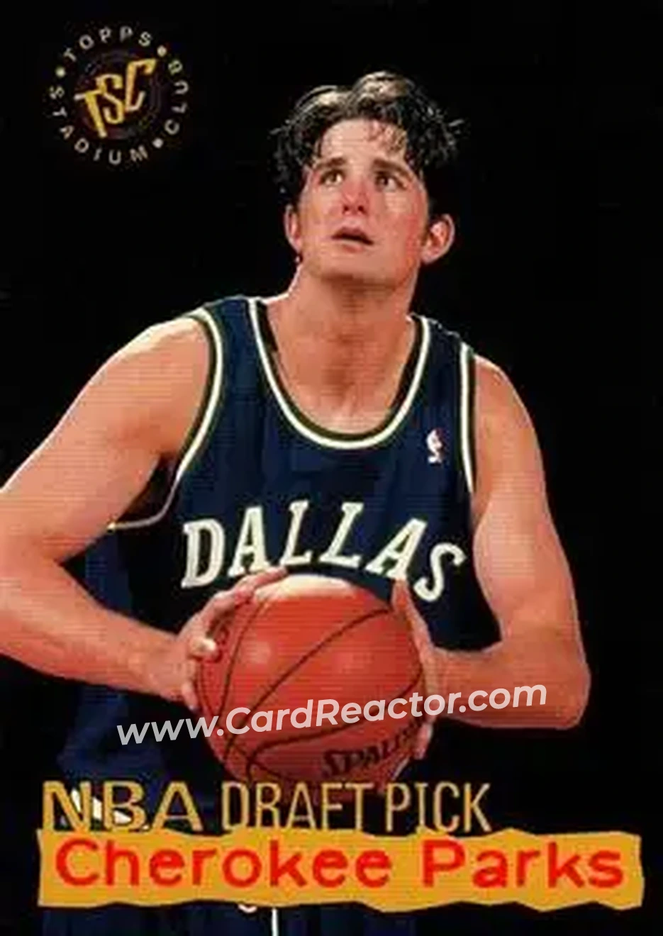 Enlarged card image