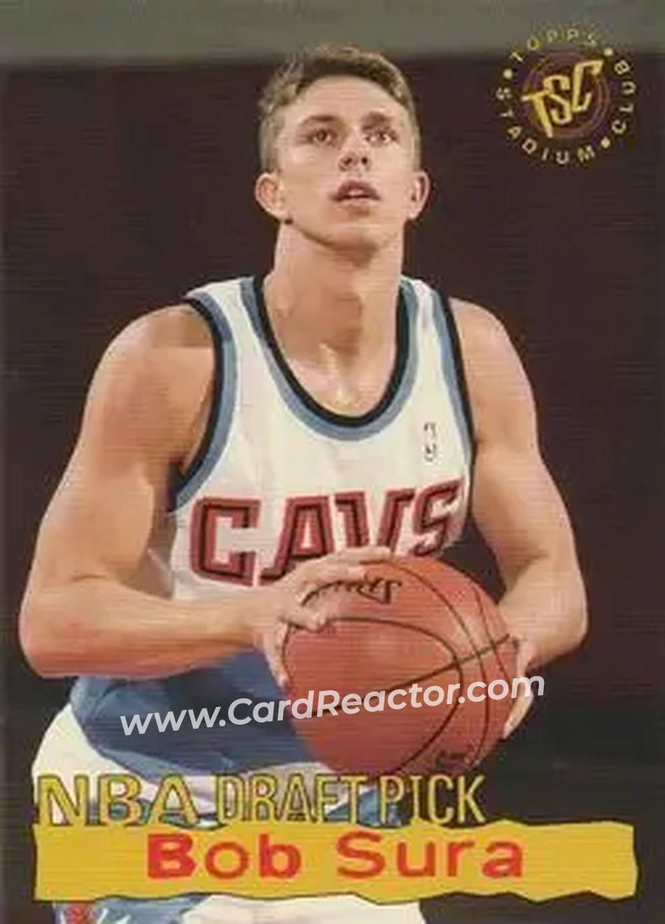 Enlarged card image