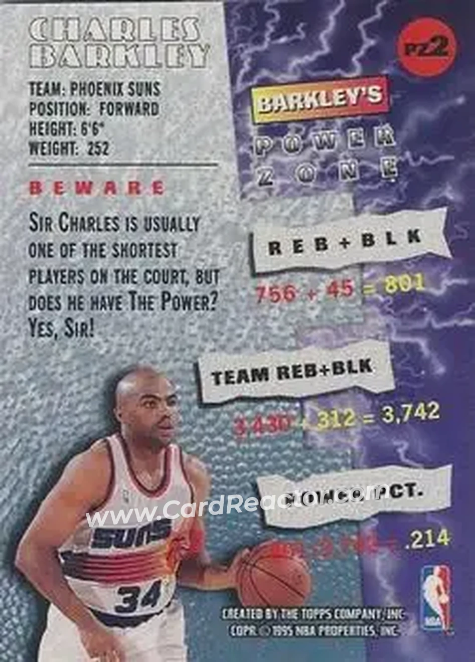 Back of Charles Barkley