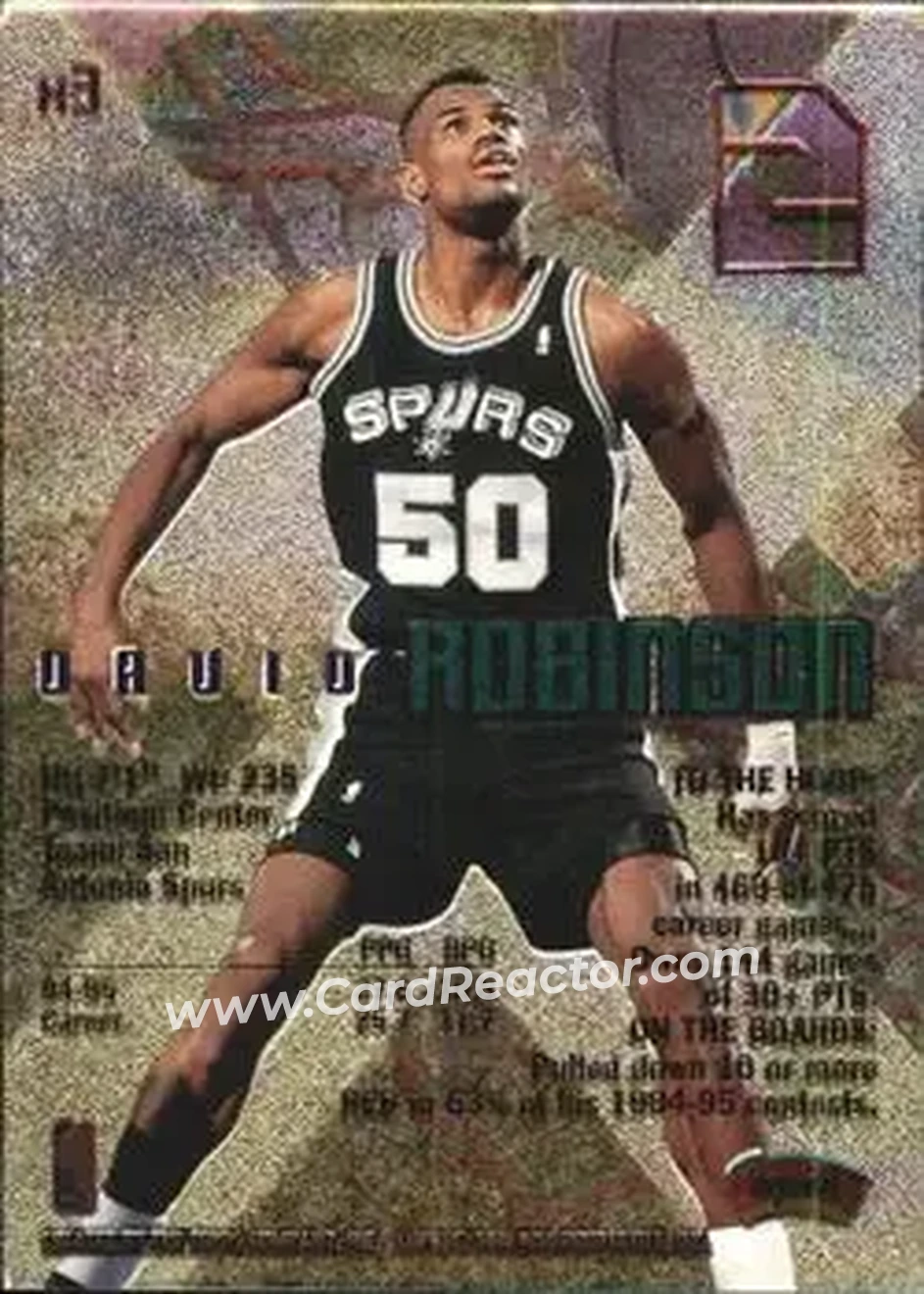 Back of David Robinson
