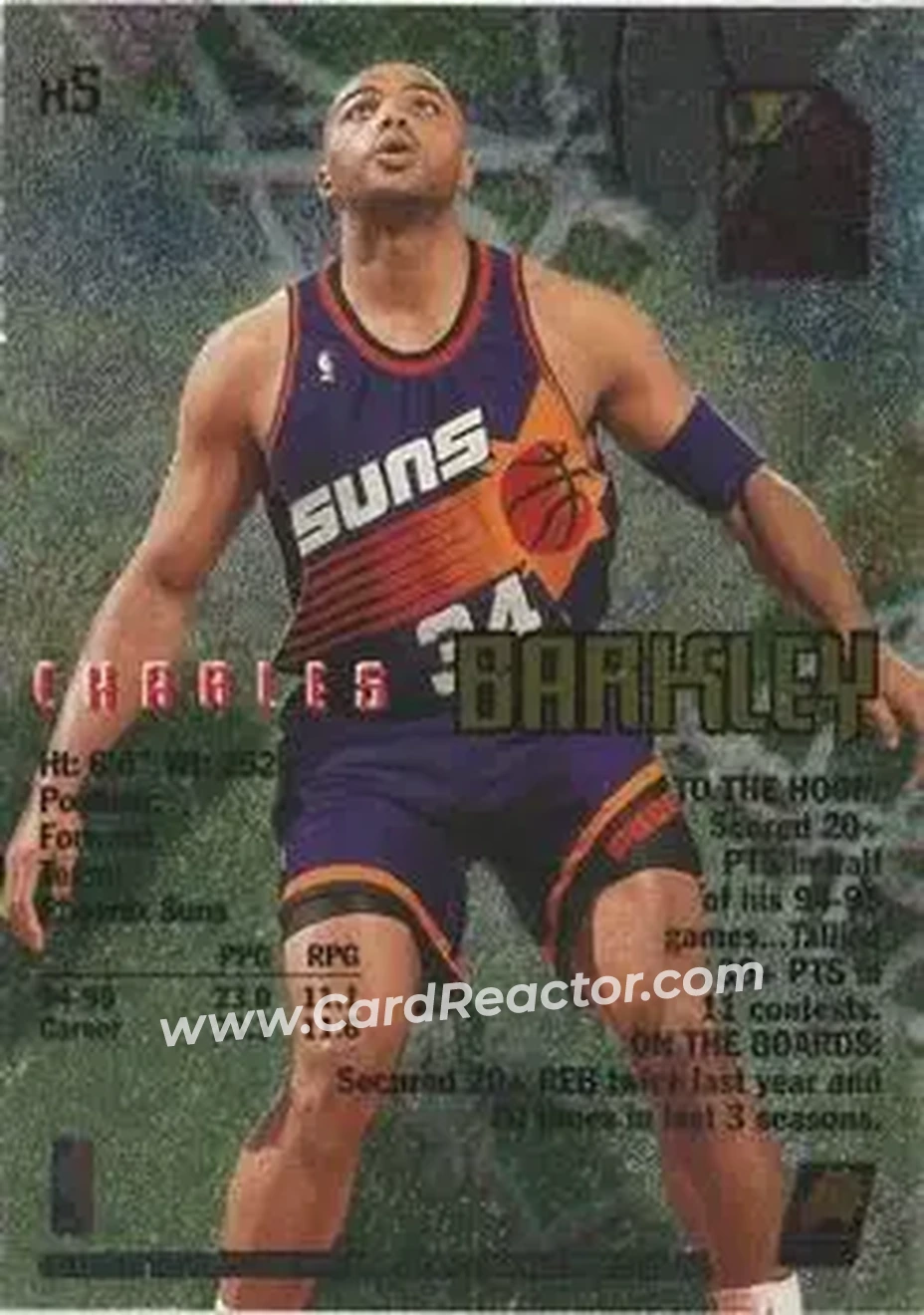 Back of Charles Barkley