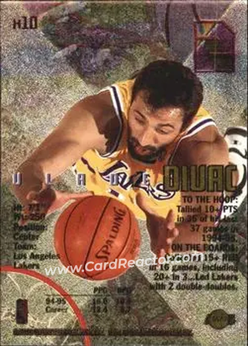 Back of Vlade Divac
