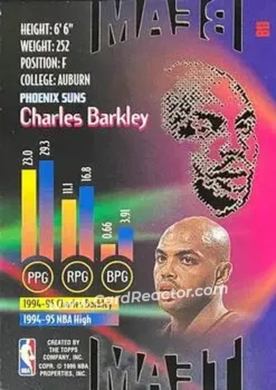 Back of Charles Barkley