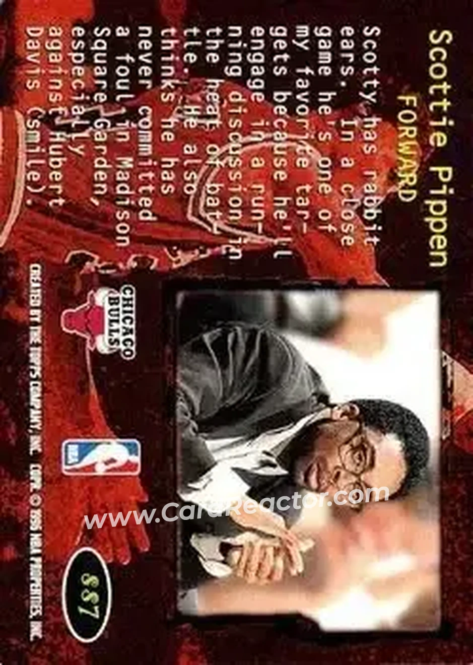 Back of Scottie Pippen