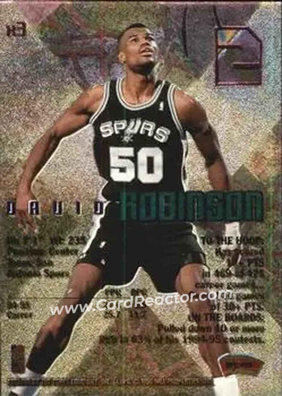 Back of David Robinson