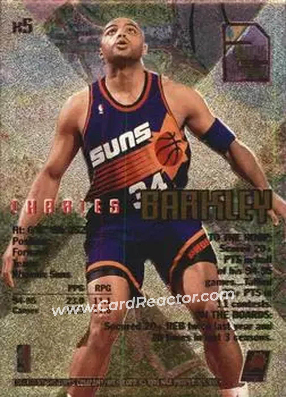 Back of Charles Barkley