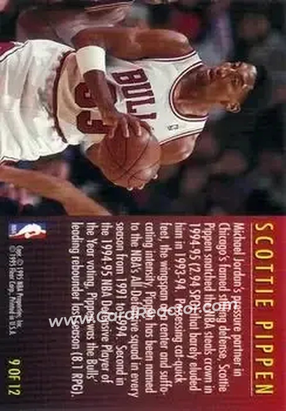 Back of Scottie Pippen
