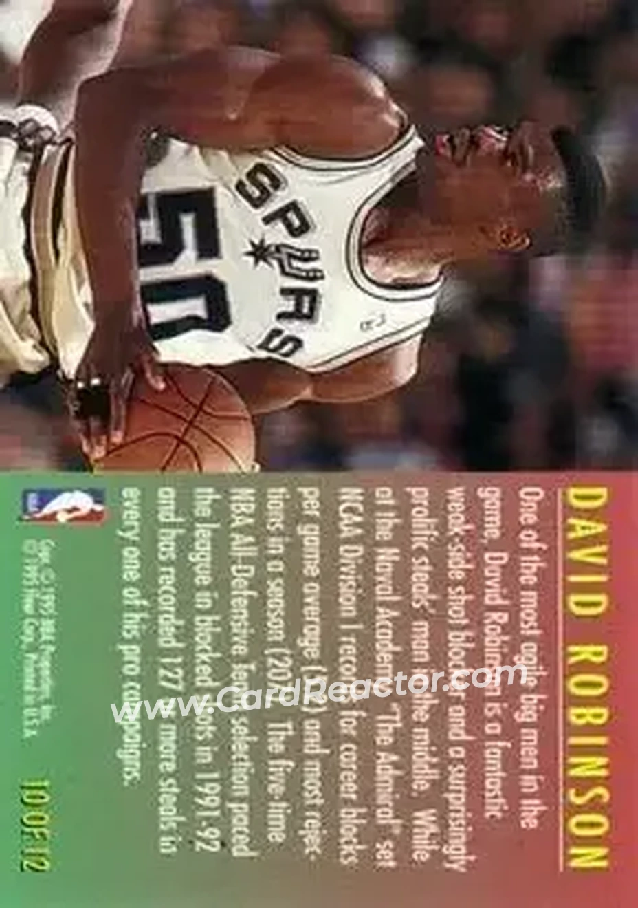 Back of David Robinson