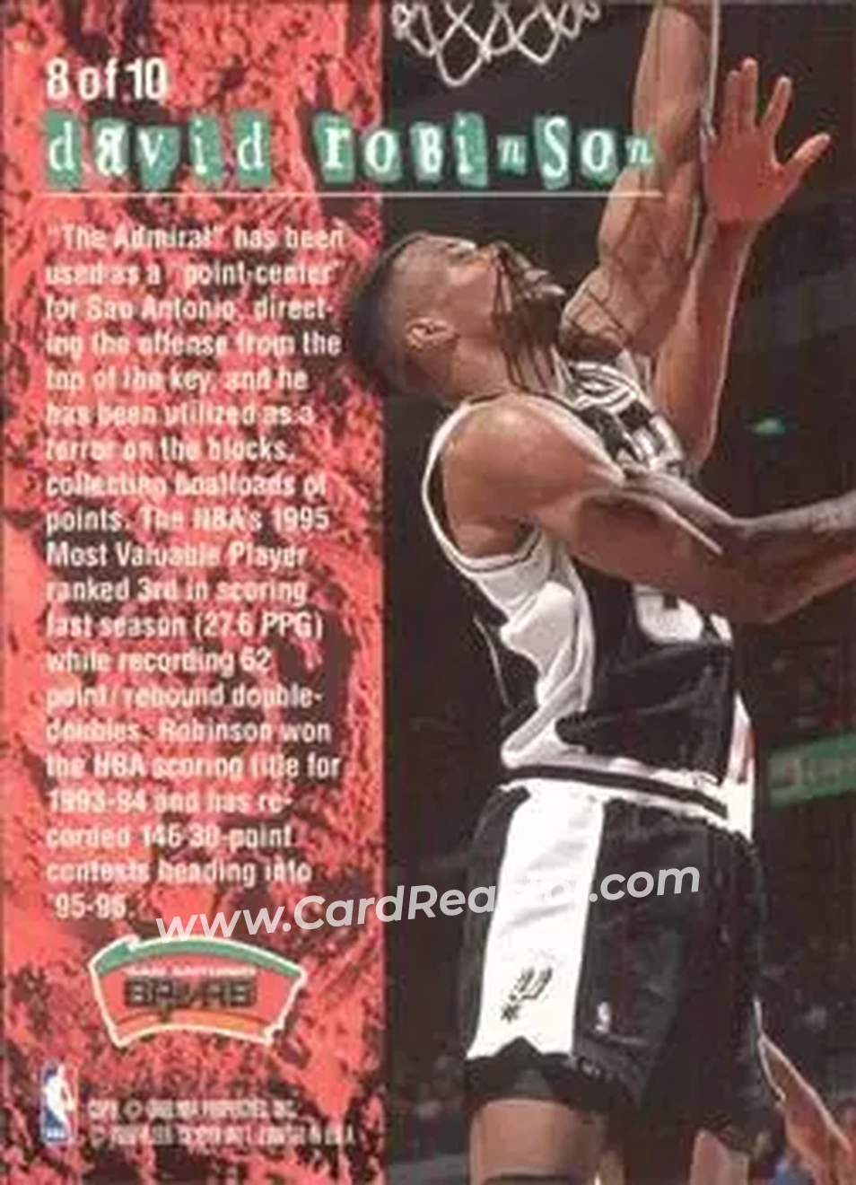 Back of David Robinson