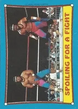 1987 Topps WWF #28 Card #28