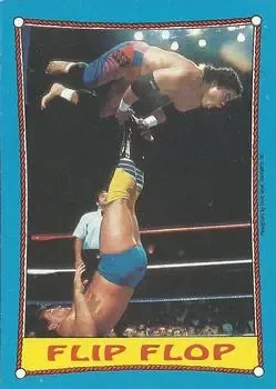 1987 Topps WWF #29 Card #29