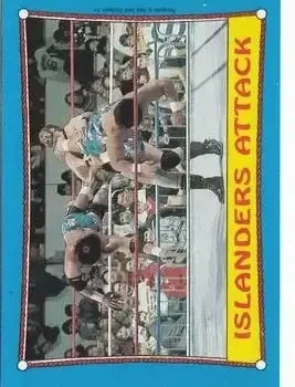 1987 Topps WWF #30 Card #30