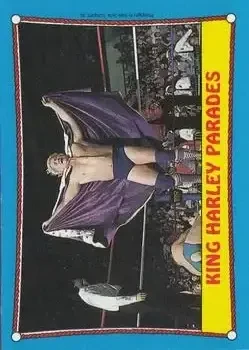 1987 Topps WWF #31 Card #31