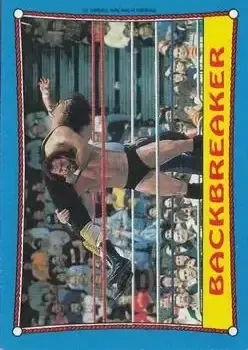 1987 Topps WWF #32 Card #32