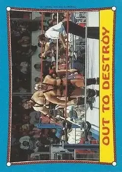 1987 Topps WWF #40 Card #40