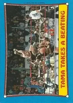 1987 Topps WWF #41 Card #41