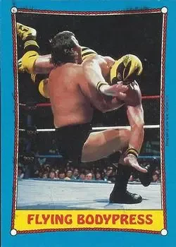 1987 Topps WWF #47 Card #47