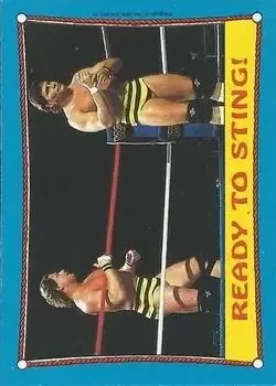 1987 Topps WWF #62 Card #62