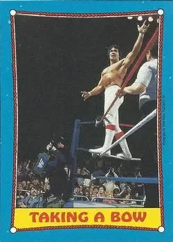 1987 Topps WWF #65 Card #65