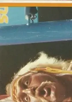 Back of Andre the Giant