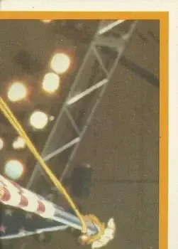 Back of Jim "The Anvil" Neidhart