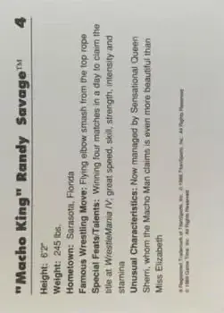 Back of "Macho King" Randy Savage