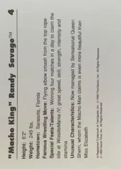 Back of "Macho King" Randy Savage