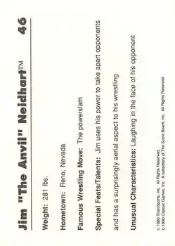 Back of Jim "The Anvil" Neidhart