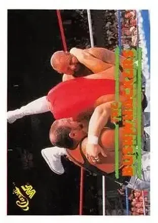 1989 Classic WWF #47 The Bushwhackers (Butch & Luke)