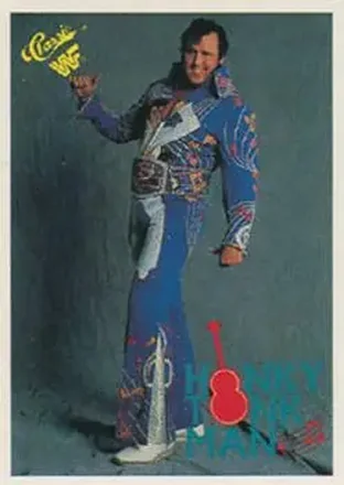 1989 Classic WWF #80 Honky Tonk Man