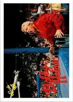 Front of Bobby "The Brain" Heenan