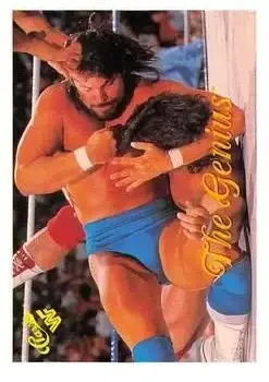 1989 Classic WWF #85 The Genius