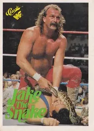 1989 Classic WWF #108 Jake "The Snake" Roberts