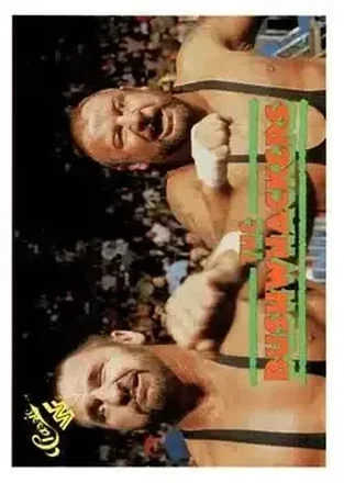 1989 Classic WWF #132 The Bushwhackers (Butch & Luke)