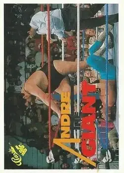 Front of Andre the Giant