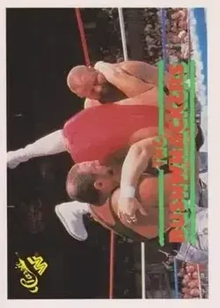 1989 Classic WWF #141 The Bushwhackers (Butch & Luke)