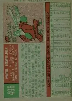 Back of Wayne Terwilliger